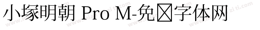 小塚明朝 Pro M字体转换